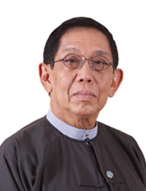 Prof. Dr. Aung Tun Thet